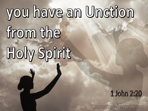 1 John 2:20